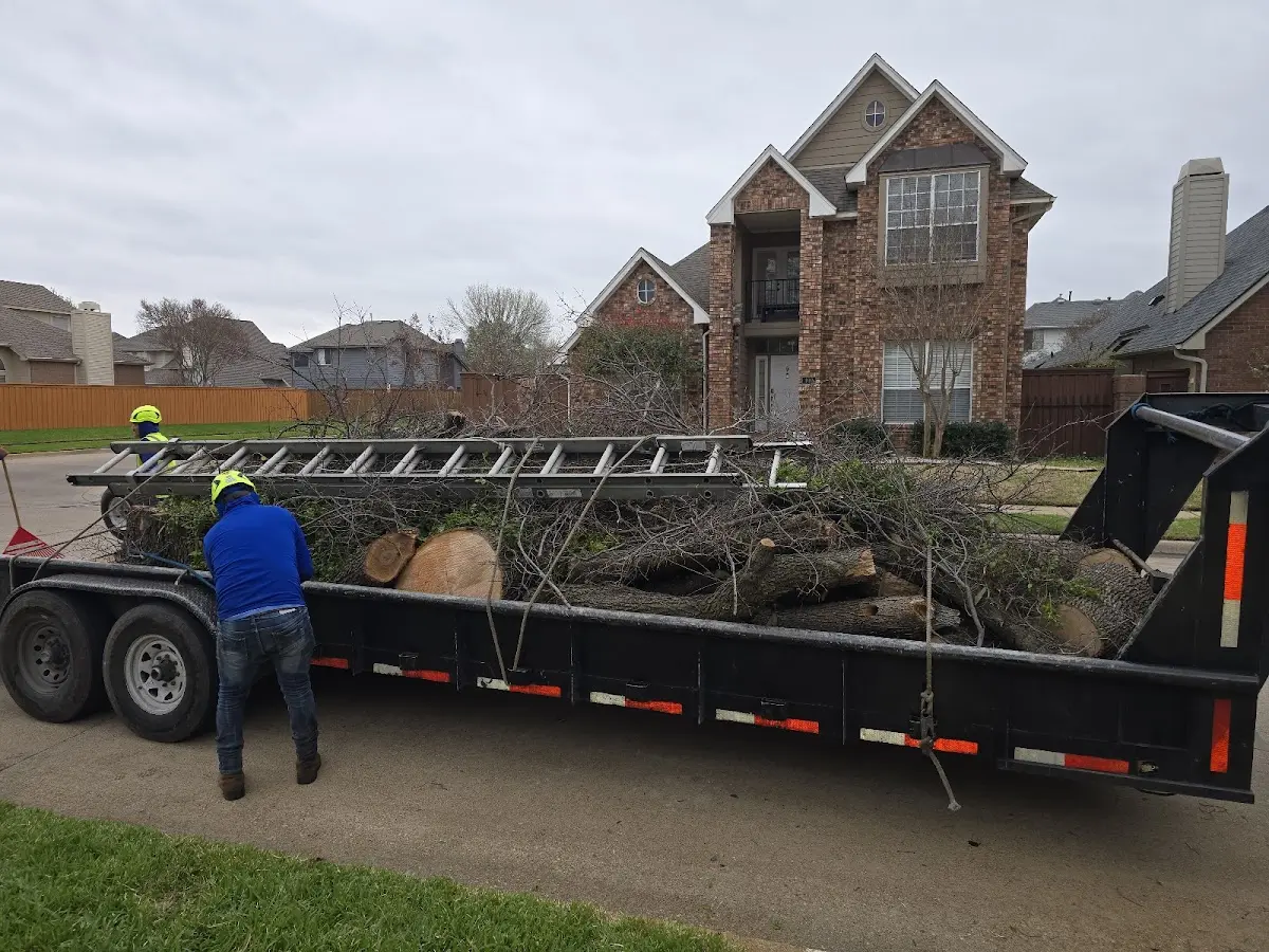 Expert Lot Clearing with proper safety equipment in Blue Jay